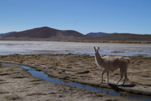 Bolivia